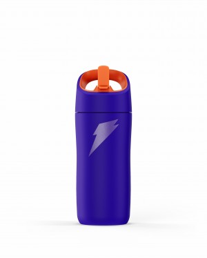 Purple Gatorade Rookie Stainless Steel Water Bottle (12 oz) UK | WXCGQZ689